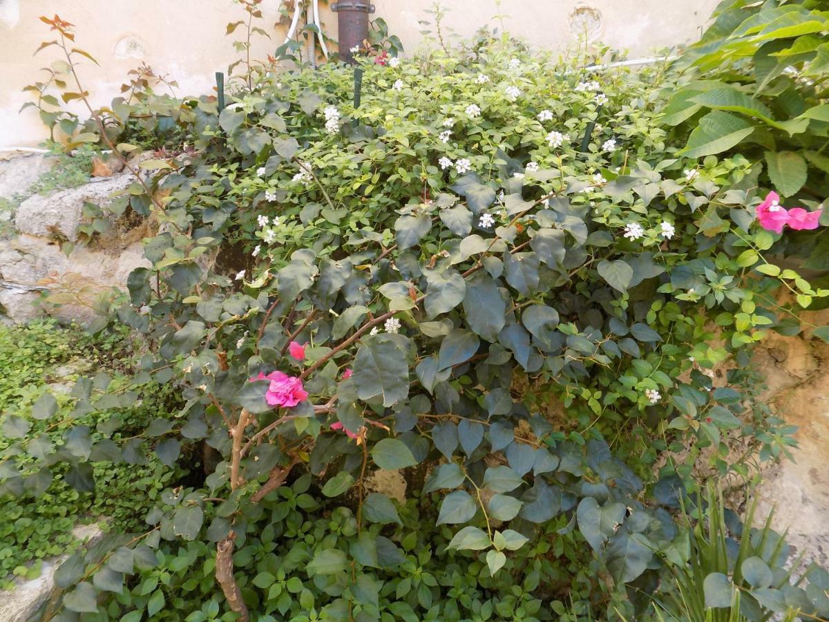 Garden&House Amore Vero Modica Extérieur photo